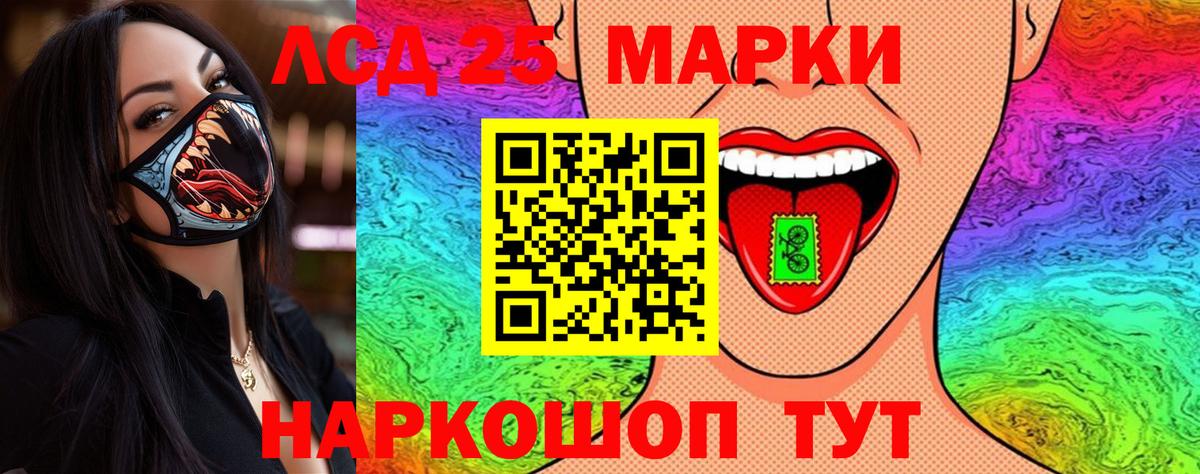 МЕФ Кизляр