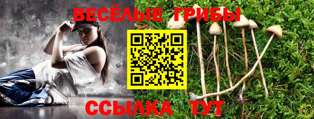 Псилоцибиновые грибы Cubensis Кизляр